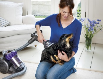 Расческа для собак Dyson Groom под новые пылесосы Dyson