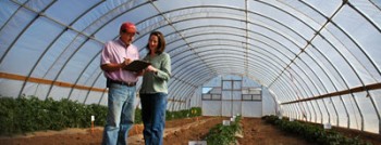 Как выбрать агроволокно?