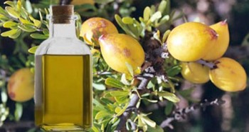 Стайлеры Remington с керамическими пластинами обогащенными аргановым маслом