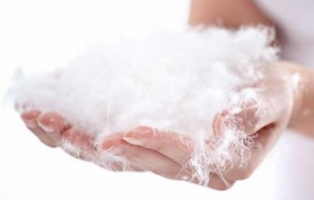 Как выбрать пух?