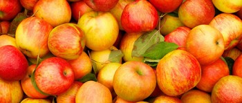 Соковыжималка для яблок большой производительности