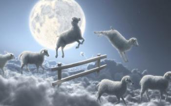 Сколько спать взрослому?