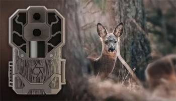 Лучшие фотоловушки 2022